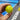 Mini Pickleballs: So verbessern BZER Warm-up Bälle dein Pickleballspiel - Pickleball Corner Schweiz